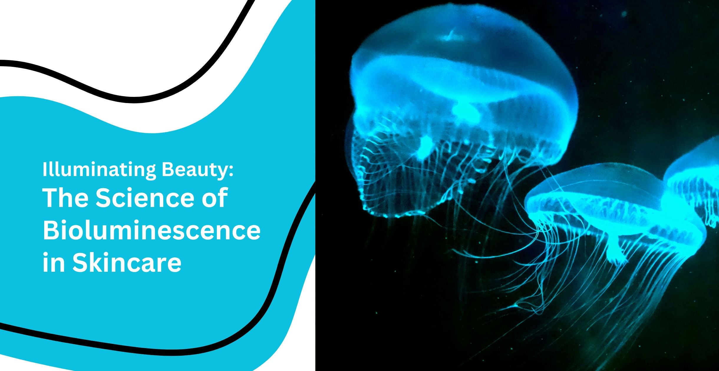 Illuminating Beauty: The Science of Bioluminescence in Skincare