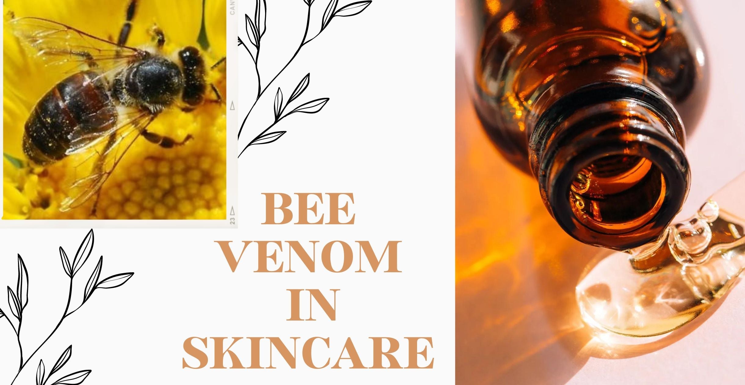 Collage-style graphic promoting bee venom in skincare showing a bee, amber bottle, and text 'BEE VENOM IN SKINCARE'