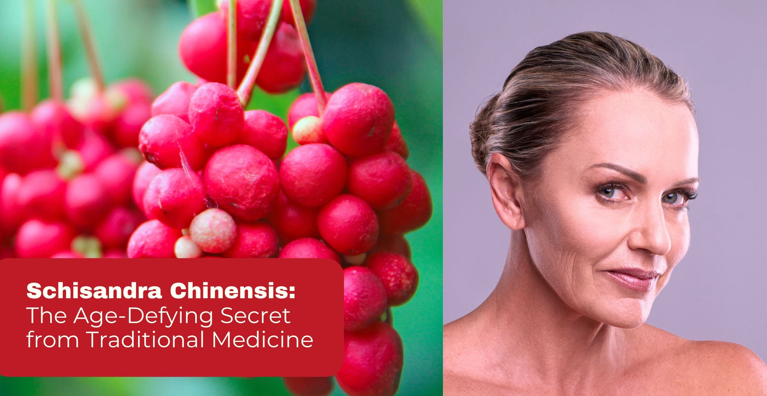 Schisandra Chinensis: The Age-Defying Secret from Traditional Medicine