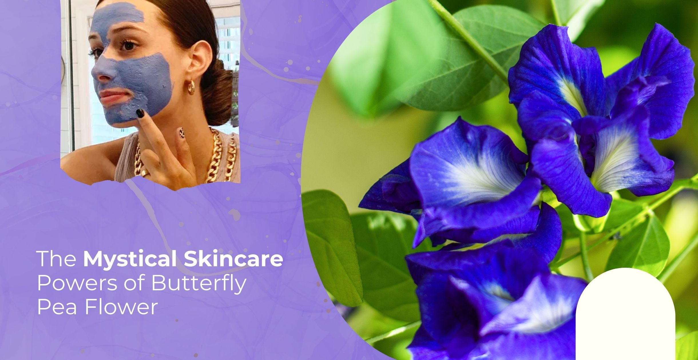 The Mystical Skincare Powers of Butterfly Pea Flower