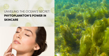 Unveiling the Ocean’s Secret: Phytoplankton’s Power in Skincare