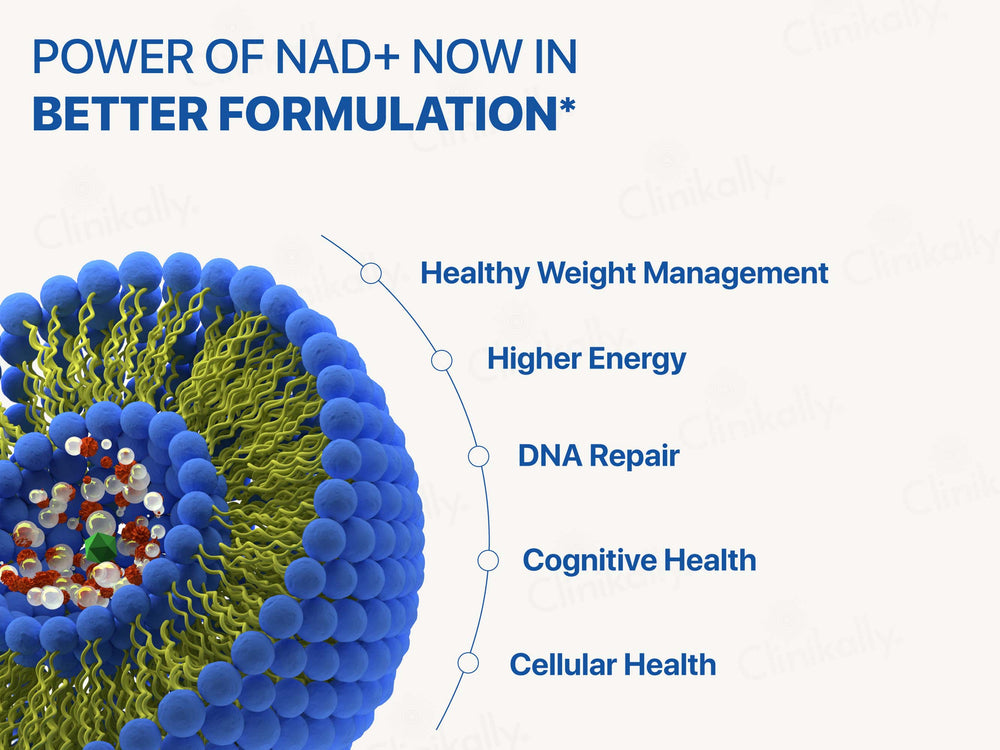 Decode Age Liposomal NMN 500 Vegan Capsule