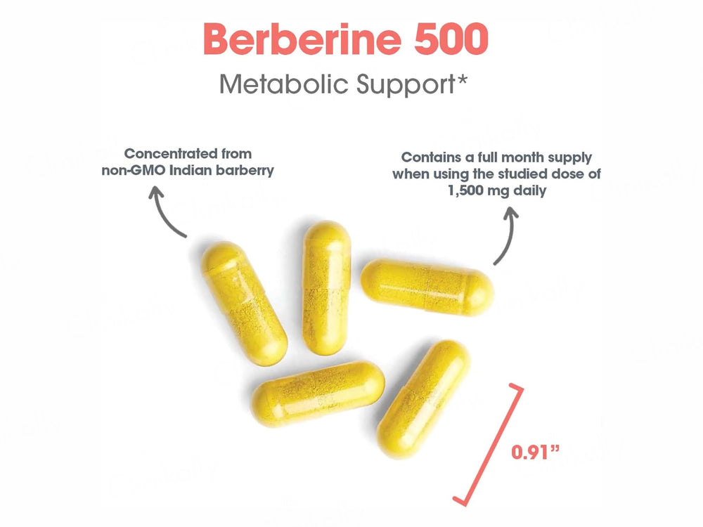Allergy Research Group Berberine 500 Dietary Supplement Vegetarian Capsule