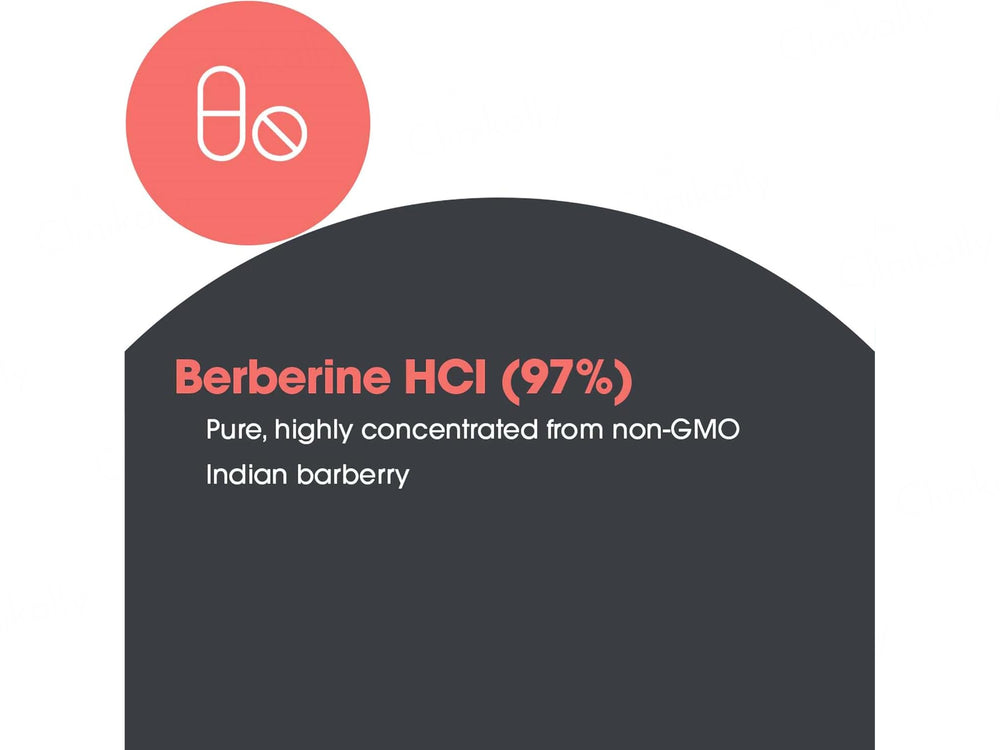 Allergy Research Group Berberine 500 Dietary Supplement Vegetarian Capsule