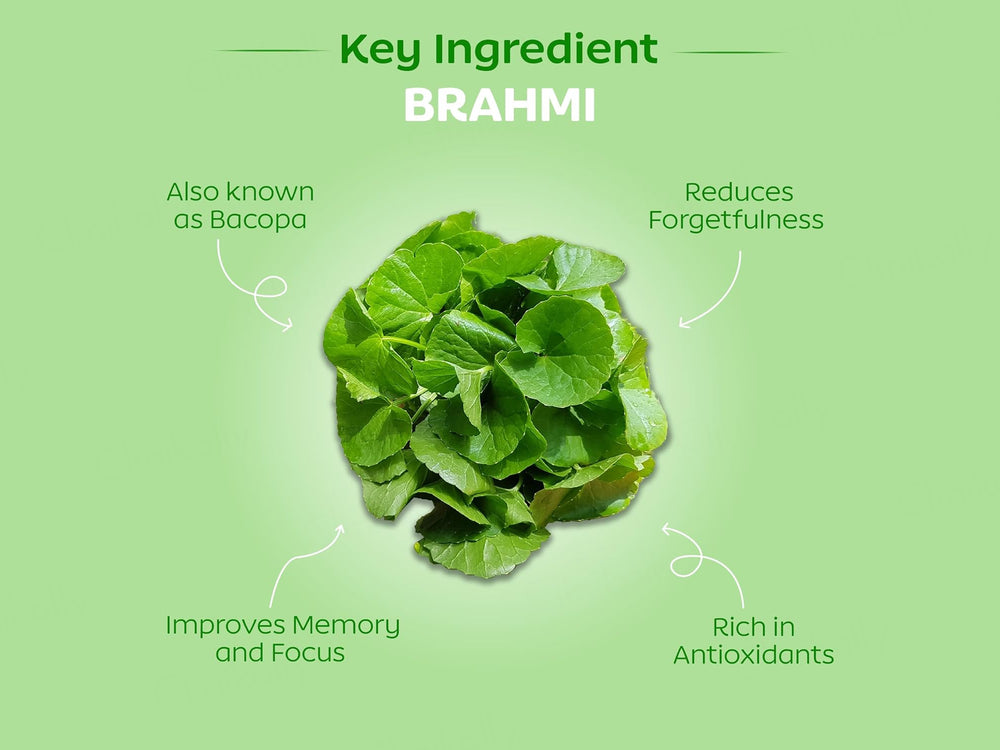 Arth Brain Fog Aid Health Supplement Capsule For Women