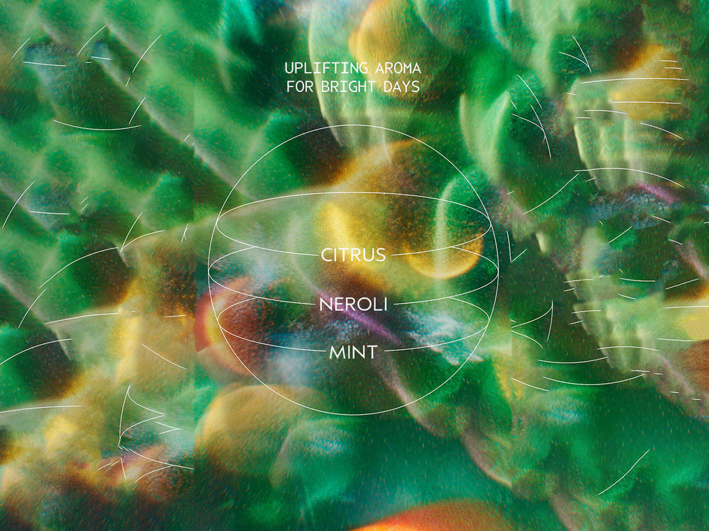 Aveda Scalp Solutions Balancing Shampoo