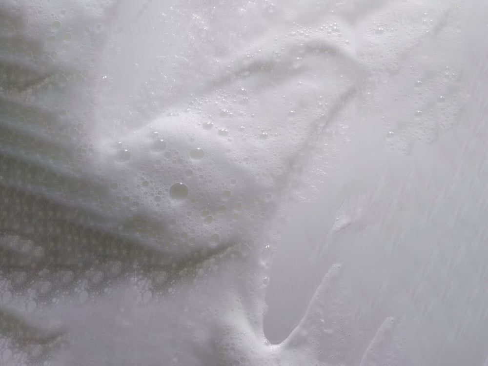 Aveda Scalp Solutions Balancing Shampoo