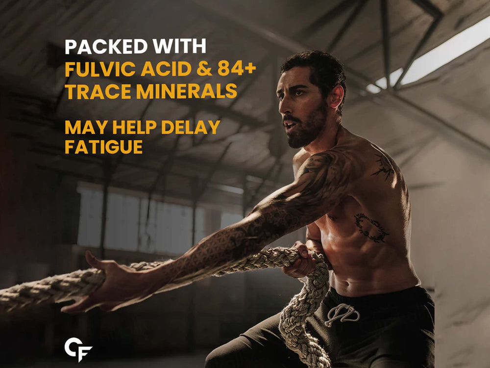 Carbamide Forte Shilajit Gold Capsule