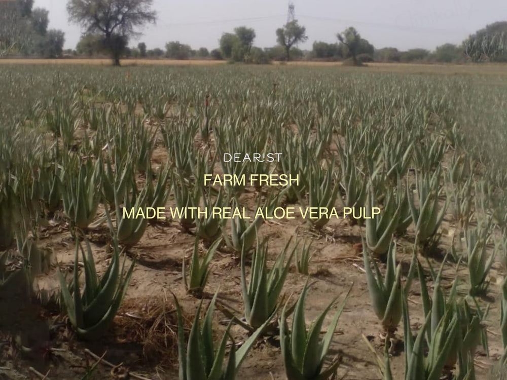 Dearist Aloe Vera Pulp Gel