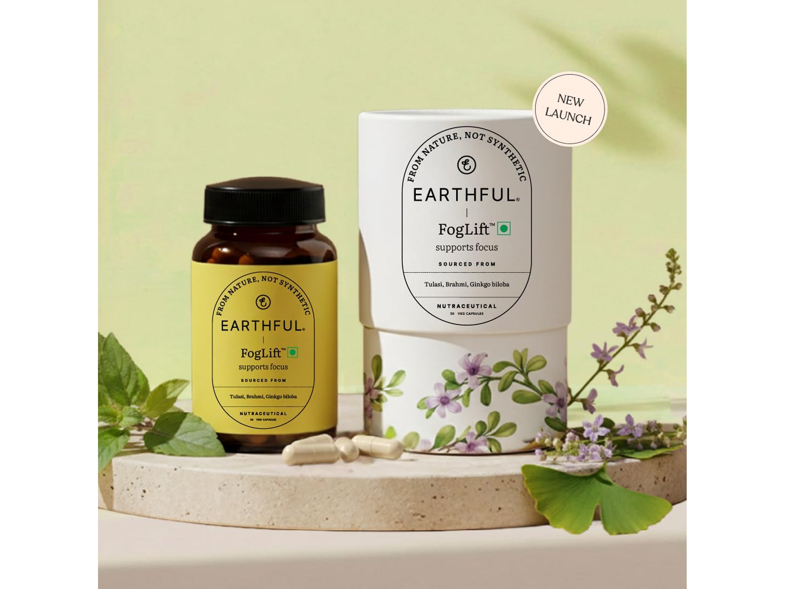 Earthful Foglift Support Focus Nutraceutical Veg Capsule