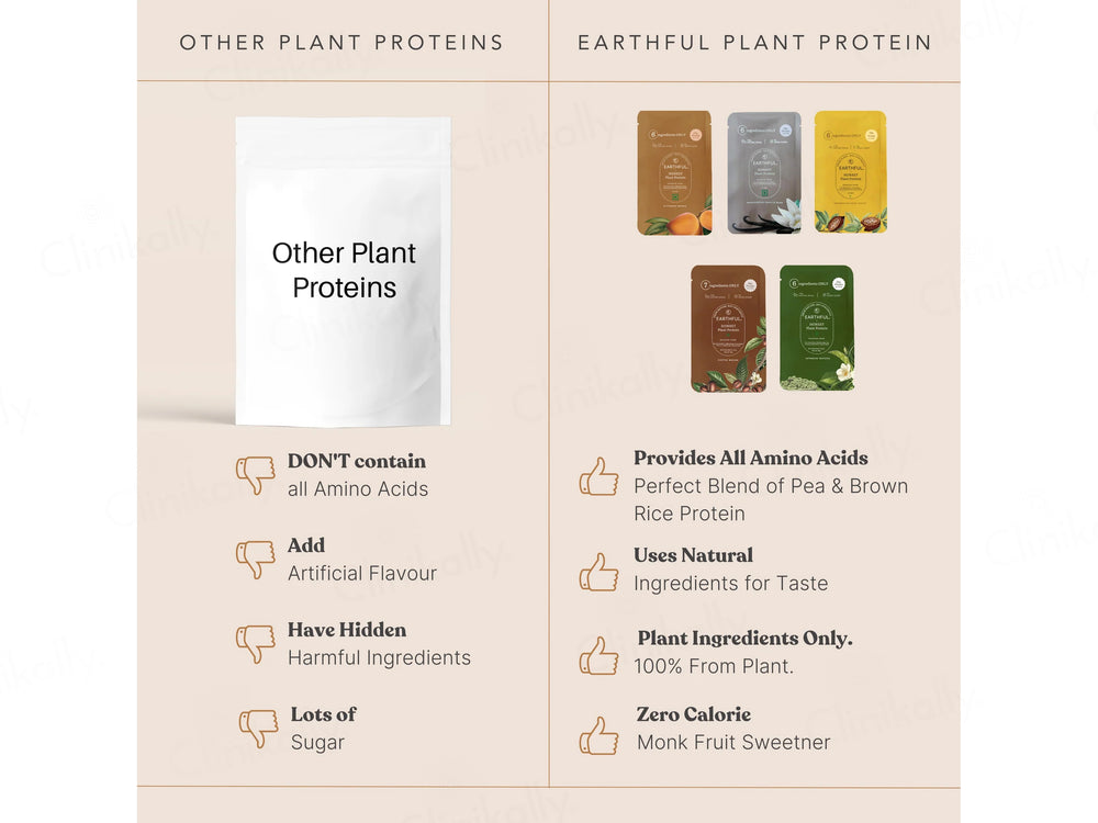 Earthful Honest Plant Protein Nutraceutical Powder (Assorted Flavours)
