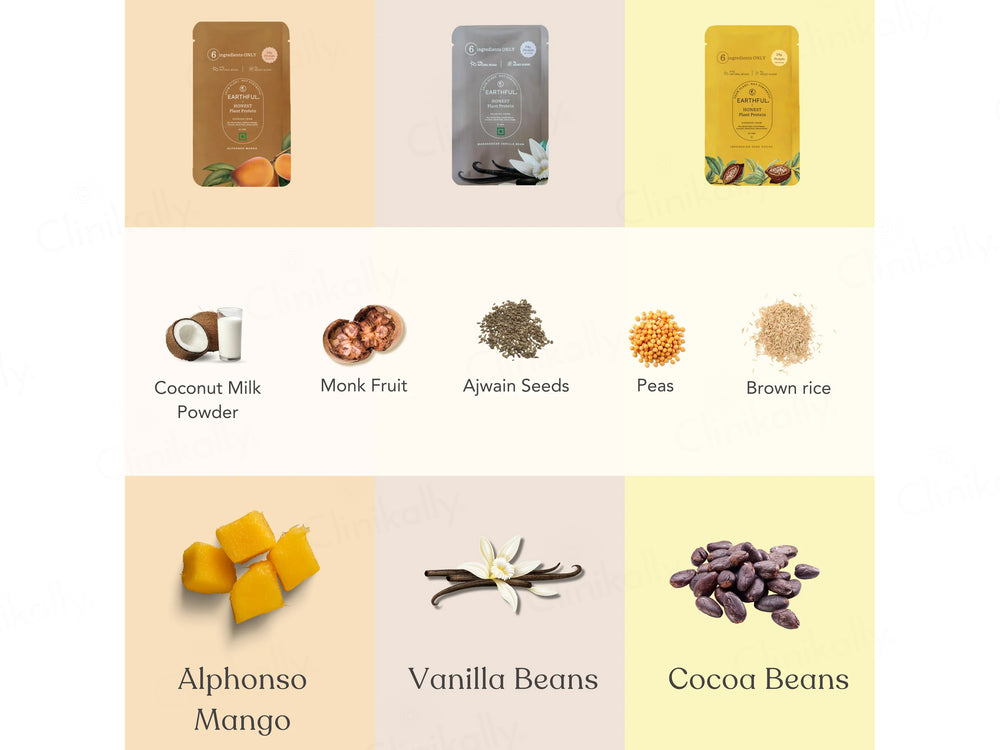 Earthful Honest Plant Protein Nutraceutical Powder (Assorted Flavours)