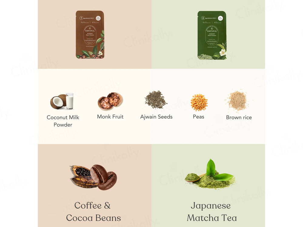 Earthful Honest Plant Protein Nutraceutical Powder (Assorted Flavours)