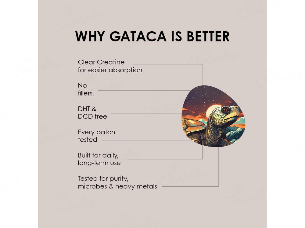 Gataca Clear Creatine + Taurine Monohydrate Nutraceutical Powder - Unflavoured
