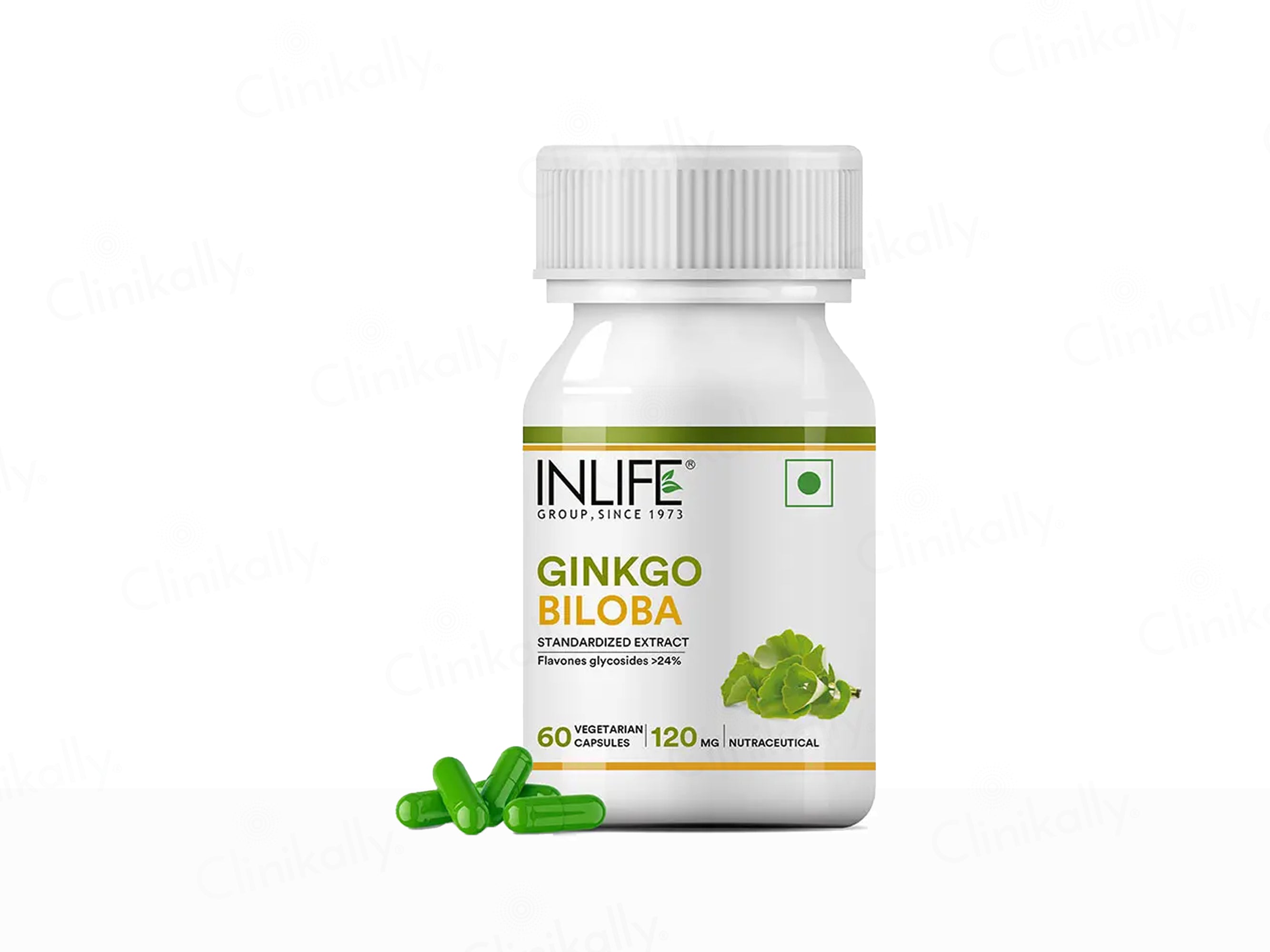 Inlife Ginkgo Biloba 120mg Vegetarian Capsule
