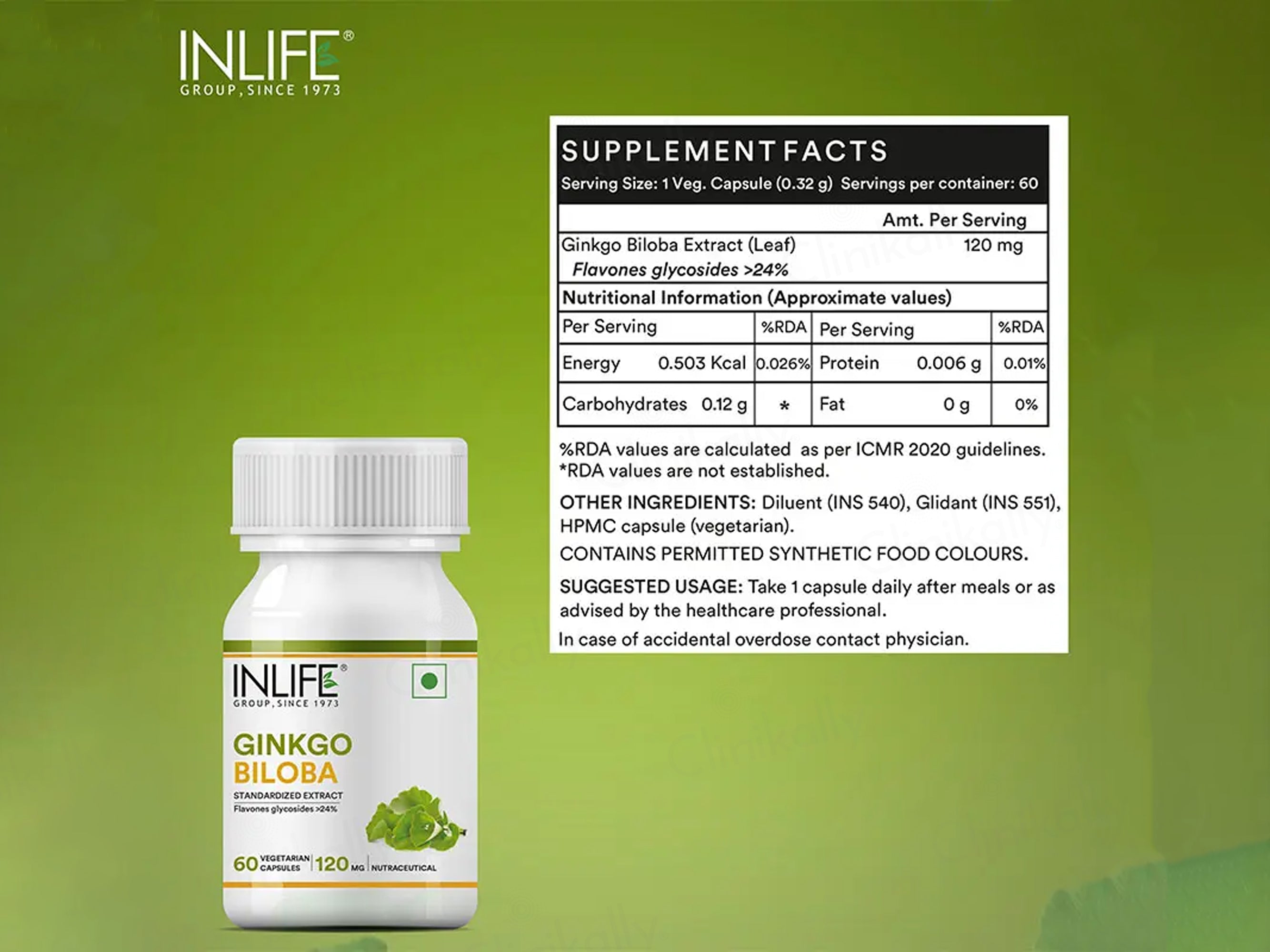 Inlife Ginkgo Biloba 120mg Vegetarian Capsule