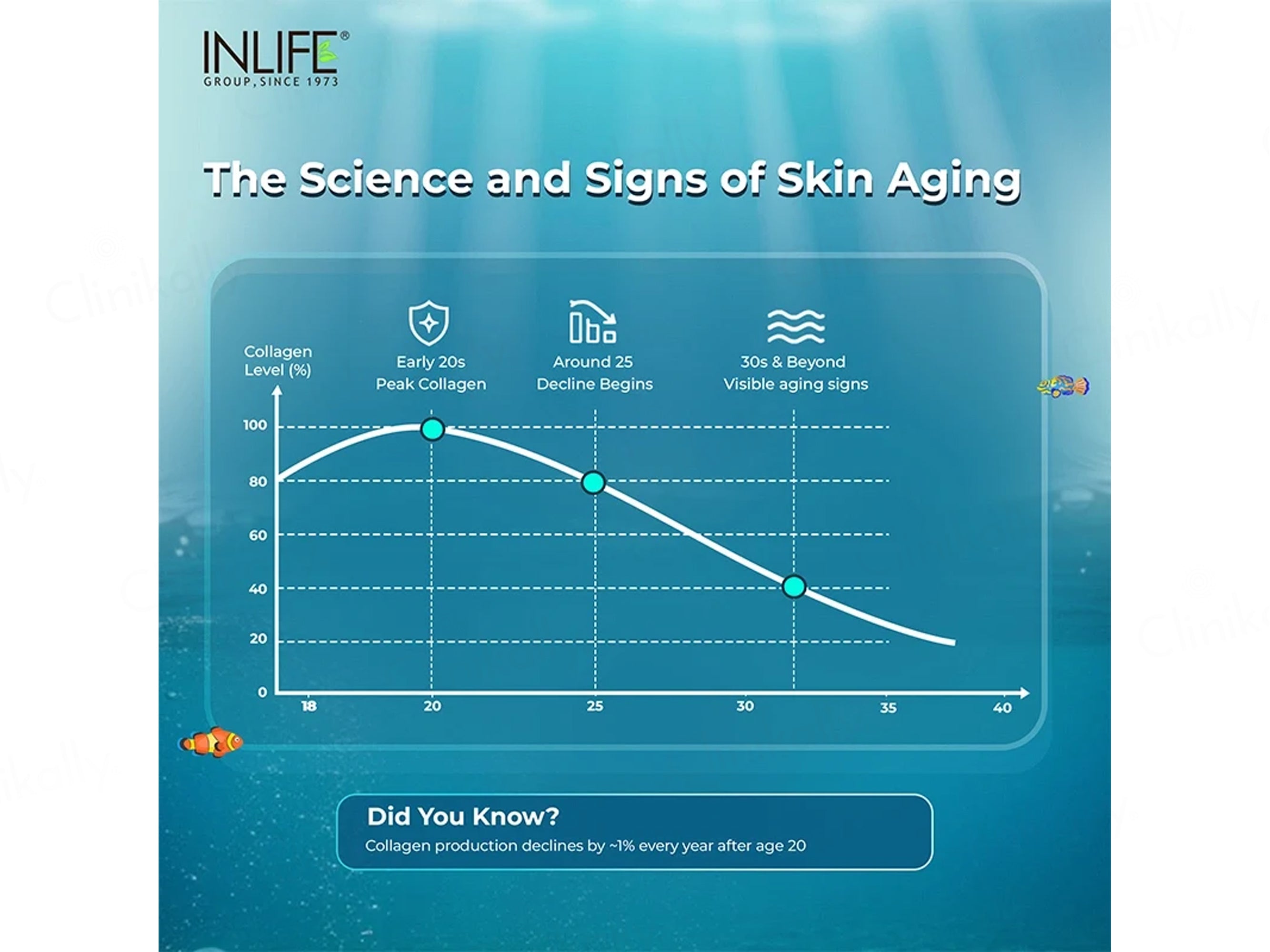 Inlife Japanese Hydrolyzed Fish Type 1 Collagen Peptides Nutraceutical Powder