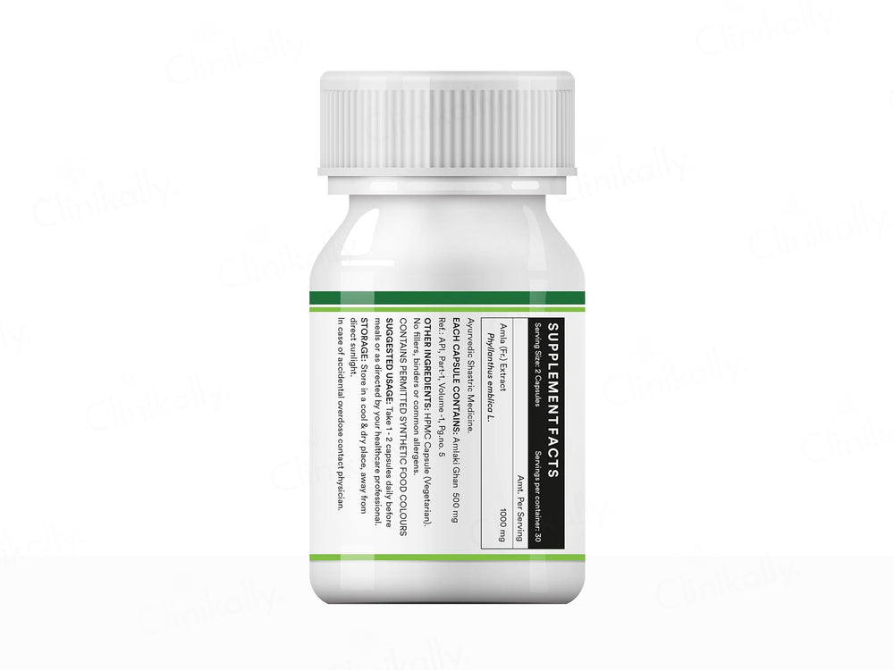 Inlife Natural Vitamin C Amlaki Ghan 1000mg Vegetarian Capsule