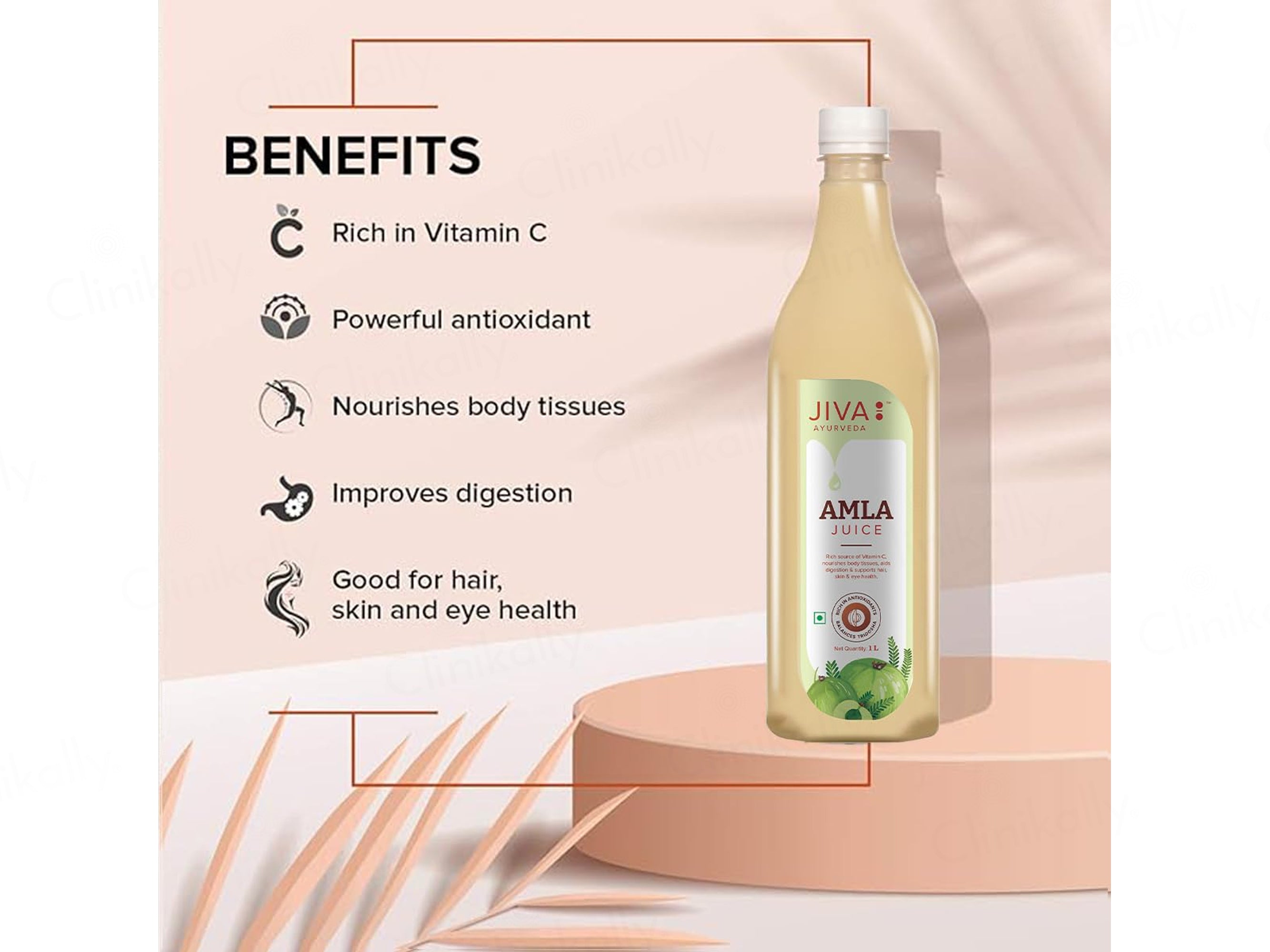 Jiva Ayurveda Amla Juice