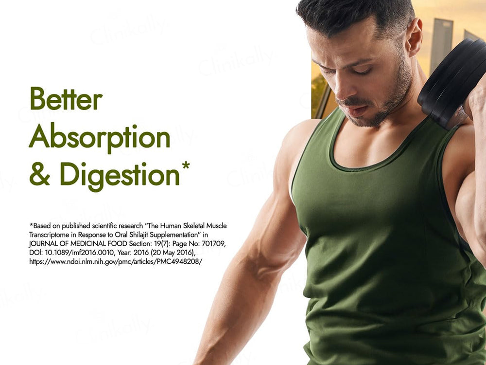 Kapiva Testofuel Shilajit Whey Protein Powder