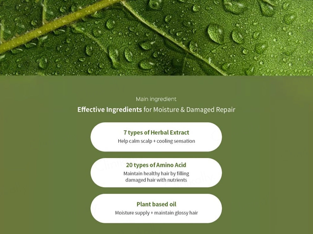 Lador Herbalism Scalp & Hair Nourishment Treatment