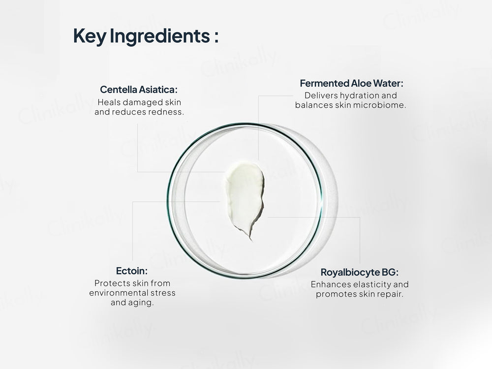 Miduty EpiRepair Anti-Aging & Barrier Repair Night Cream