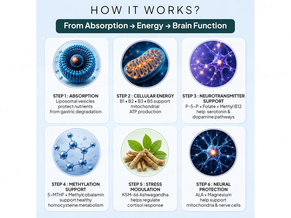 Miduty Liposomal B-Complex Nutraceutical Capsule