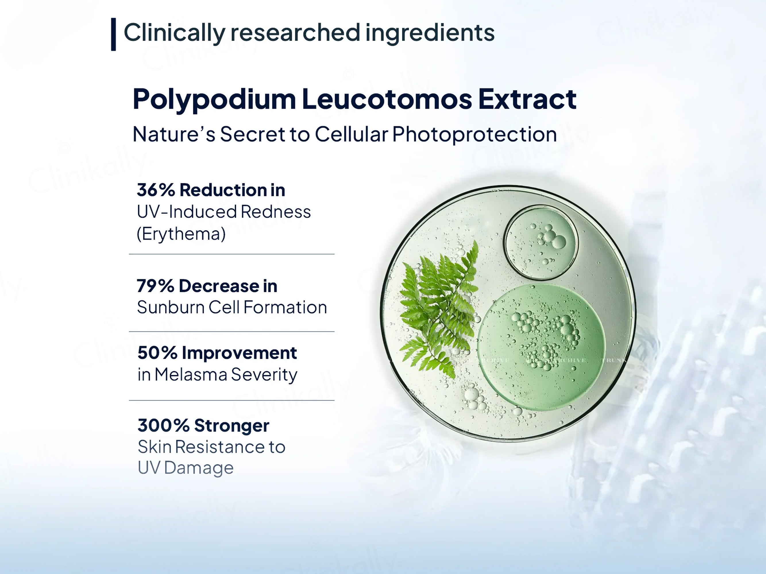 Miduty Pigment Clear+ Nutraceutical Capsule
