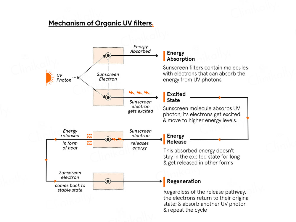 Minimalist Light Fluid Face Sunscreen SPF 50 PA++++