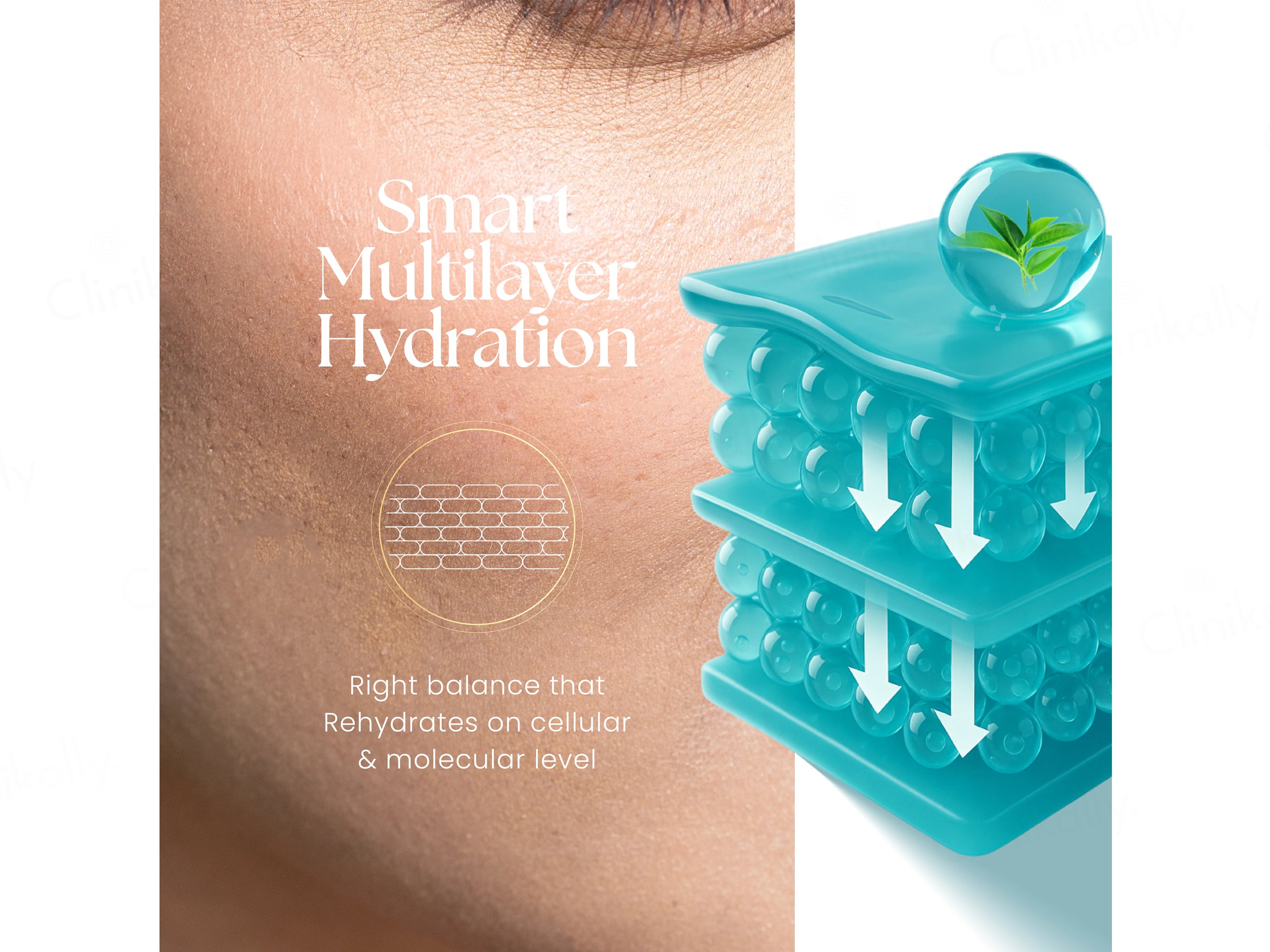 Moha: Face Moisturizer For Oily Skin