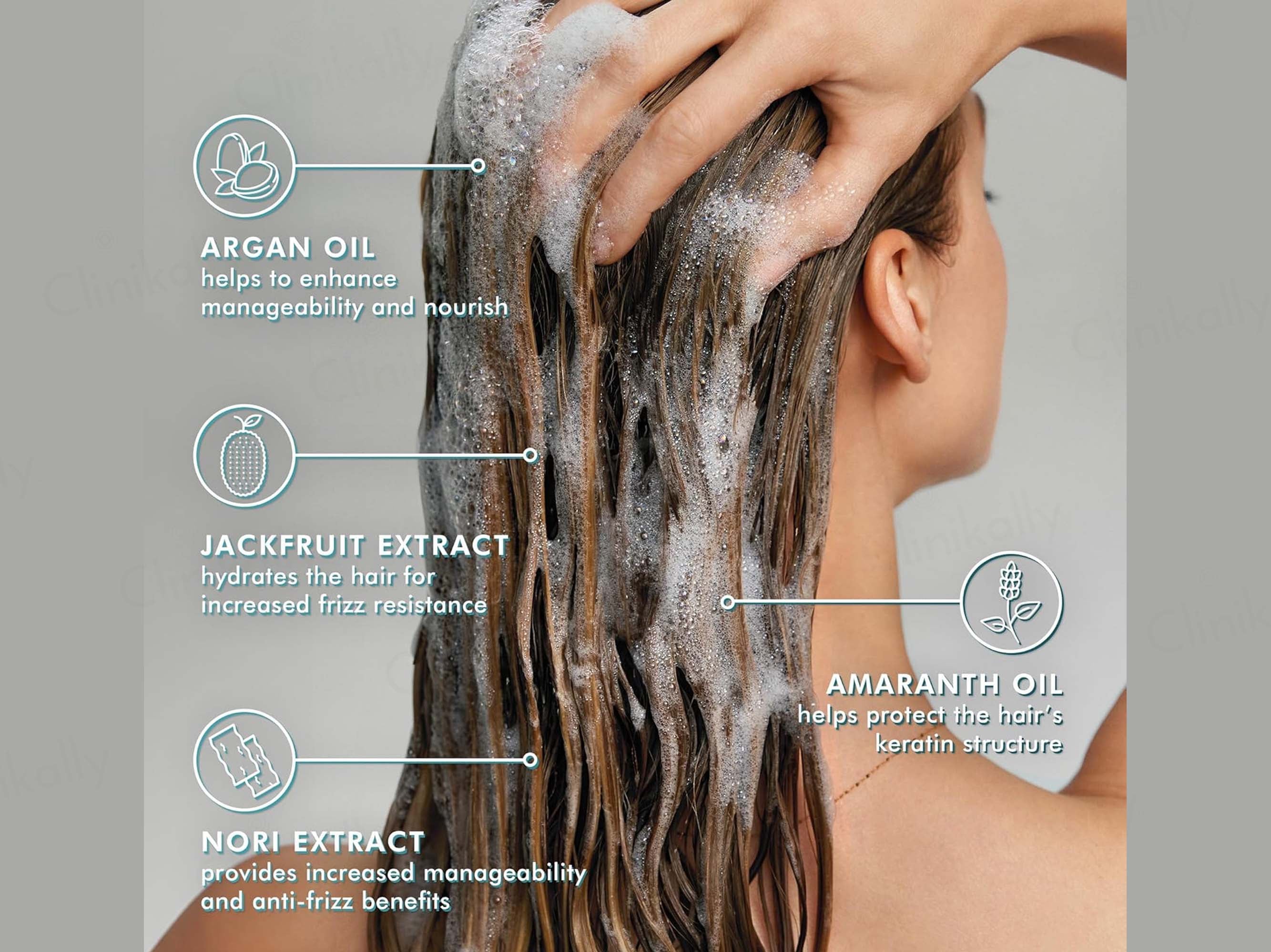 Moroccanoil Frizz Control Shampoo