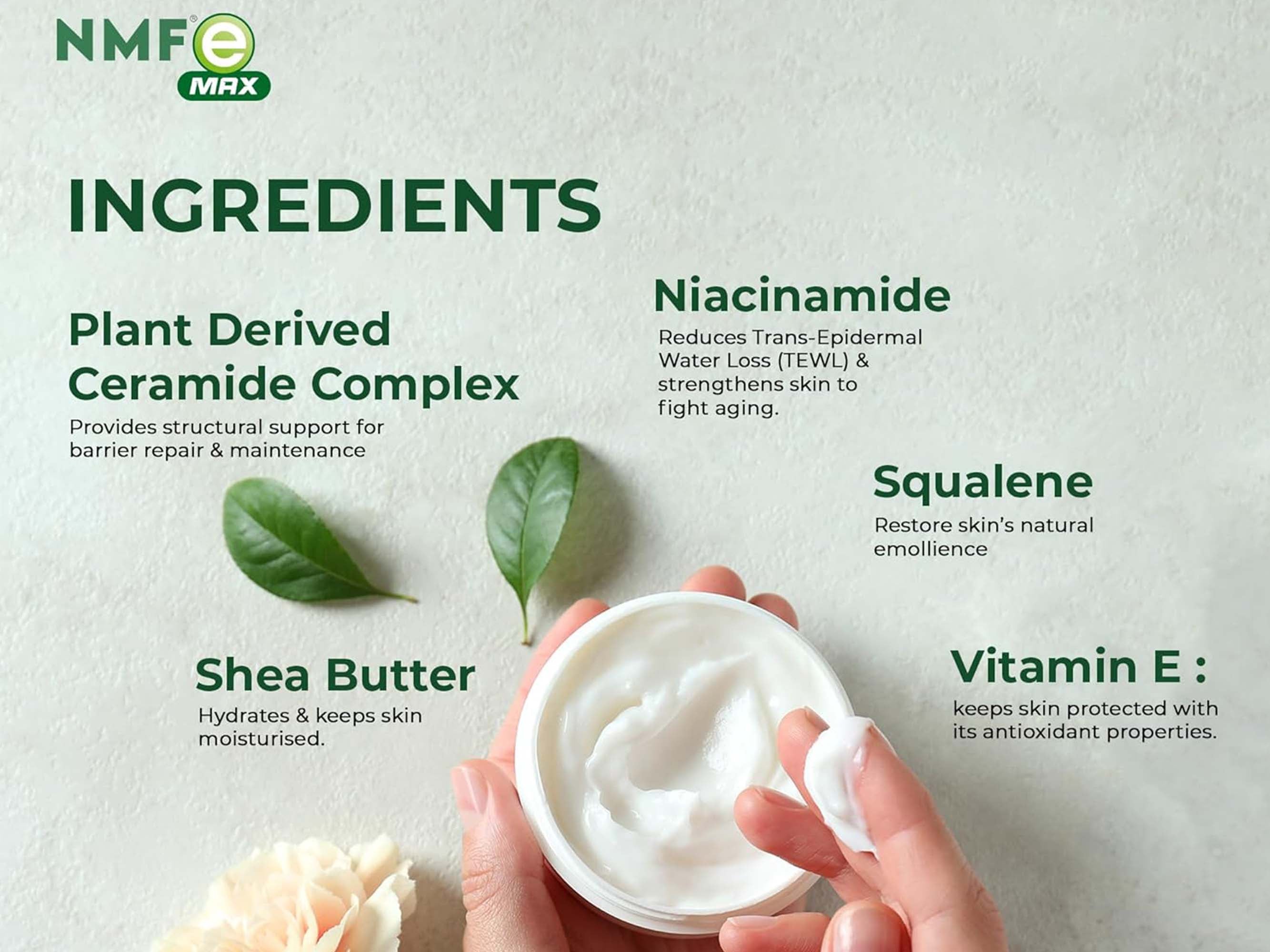 NMFe Max Skin Cream For Dry & Sensitive Skin