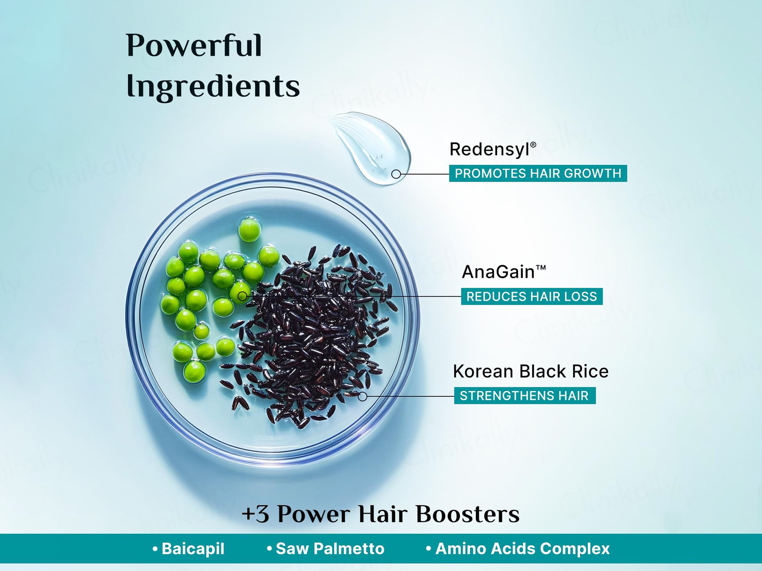 Pilgrim Redensyl & Anagain Hairfall Control Shampoo With Korean Black Rice