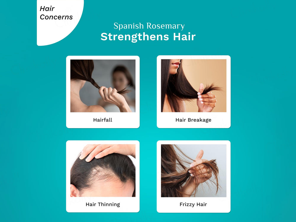 Pilgrim Spanish Rosemary & Biotin Anti-Hairfall Hair Mask