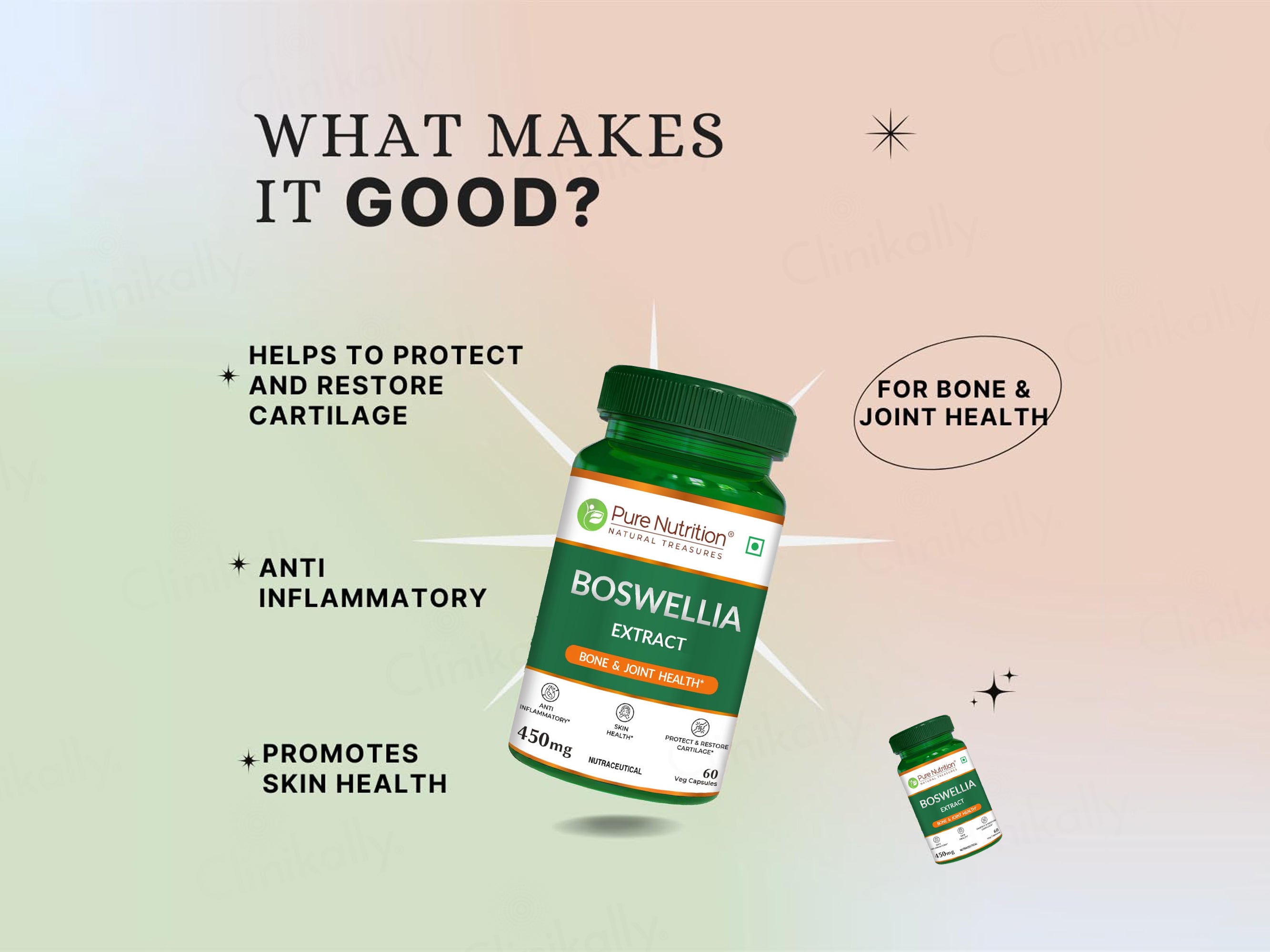 Pure Nutrition Boswellia Extract 450mg Veg Capsule