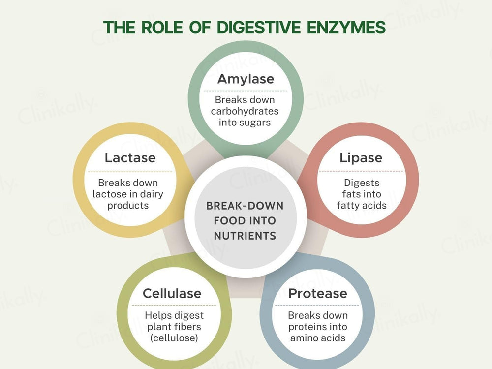 Pure Nutrition Digestive Enzymes With Bromelain Veg Capsule