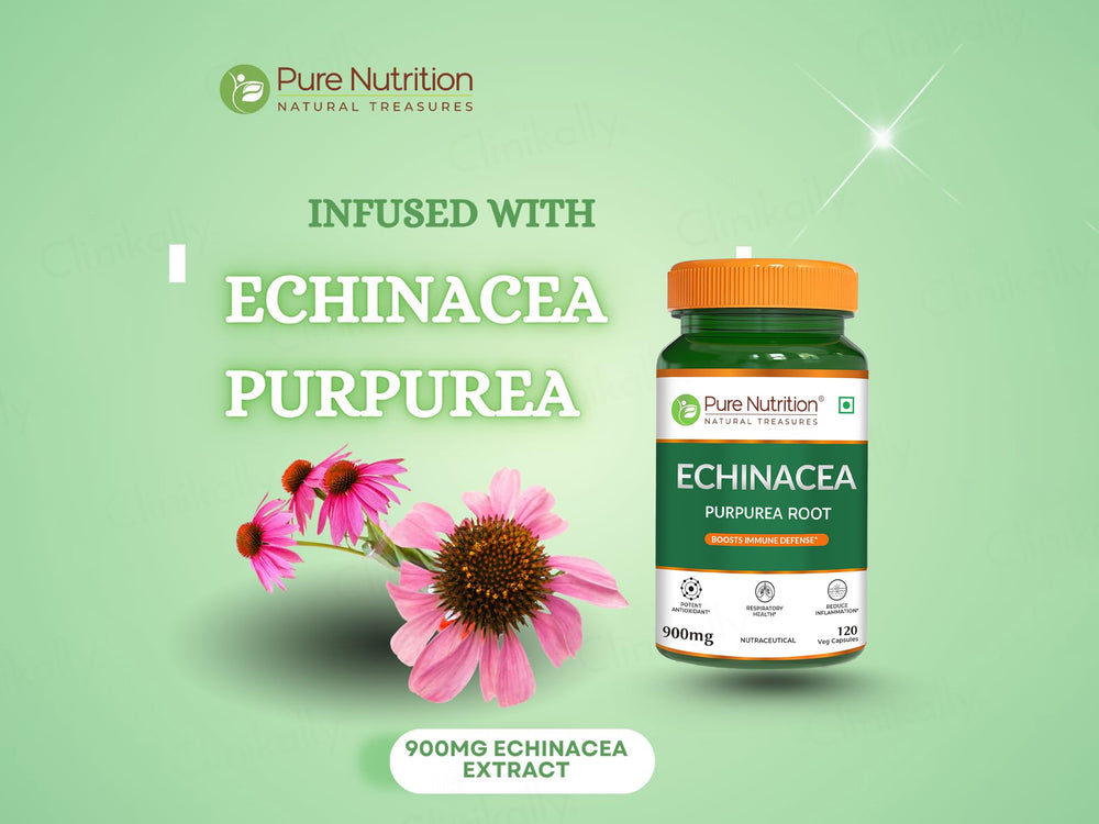 Pure Nutrition Echinacea Purpurea Root Extract 900mg Veg Capsule