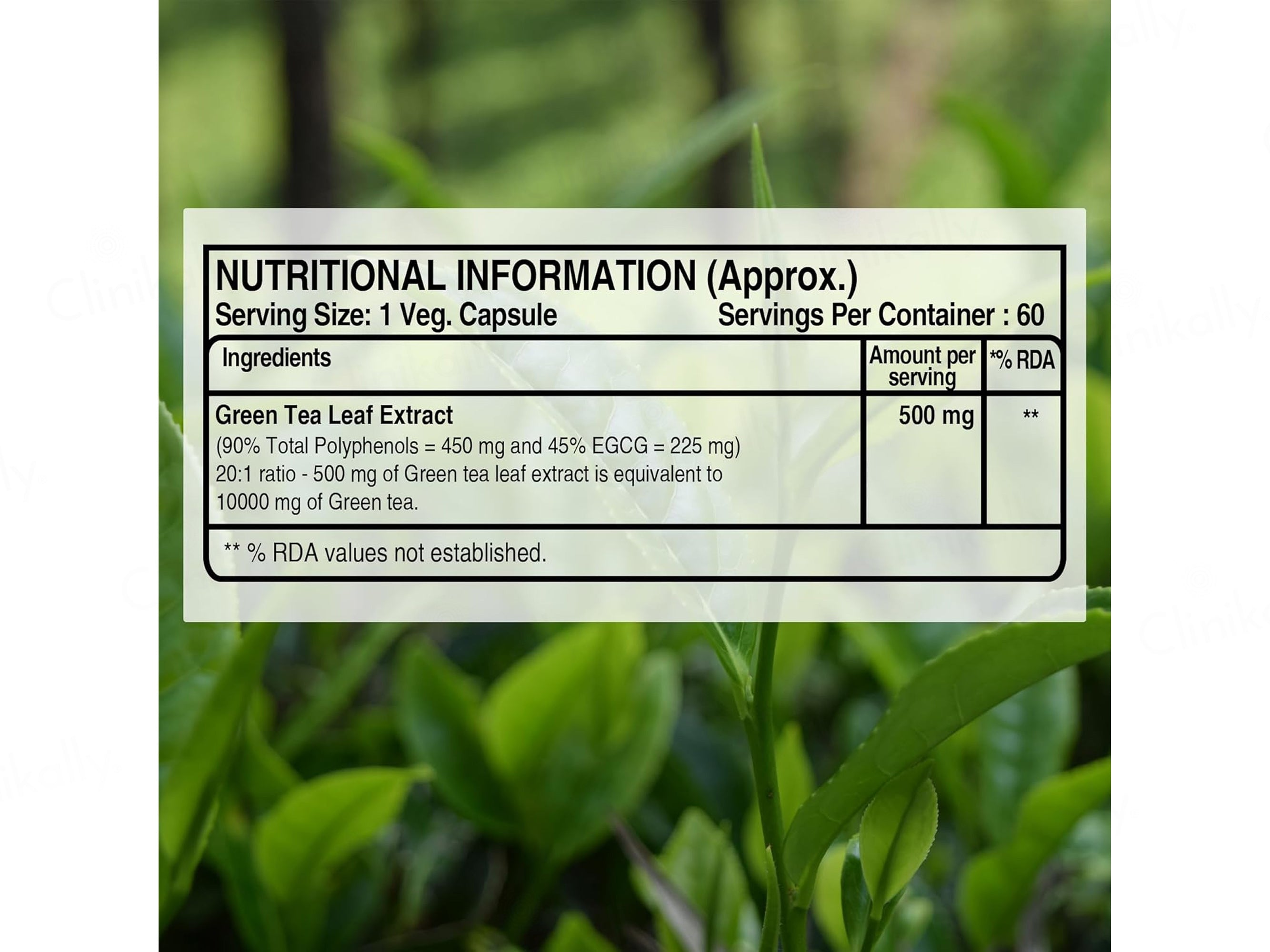 Pure Nutrition Green Tea Leaf Extract 500mg Veg Capsule