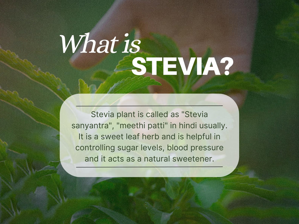 Pure Nutrition Stevaya Stevia-Based Sweetener Powder