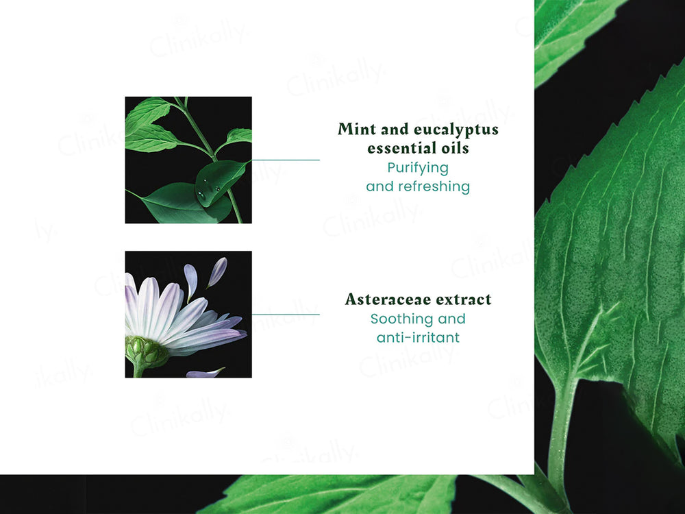 Rene Furterer Astera Fresh Soothing Freshness Shampoo