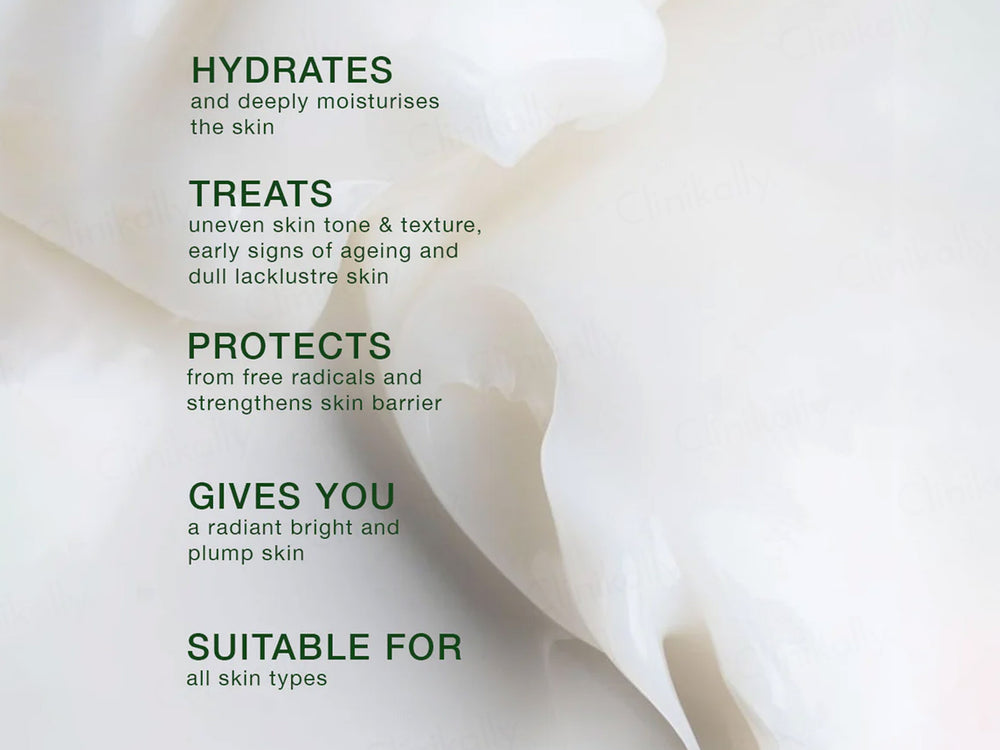 SKOG FHC Cloudberry & Sea Lettuce Hydrating Cream