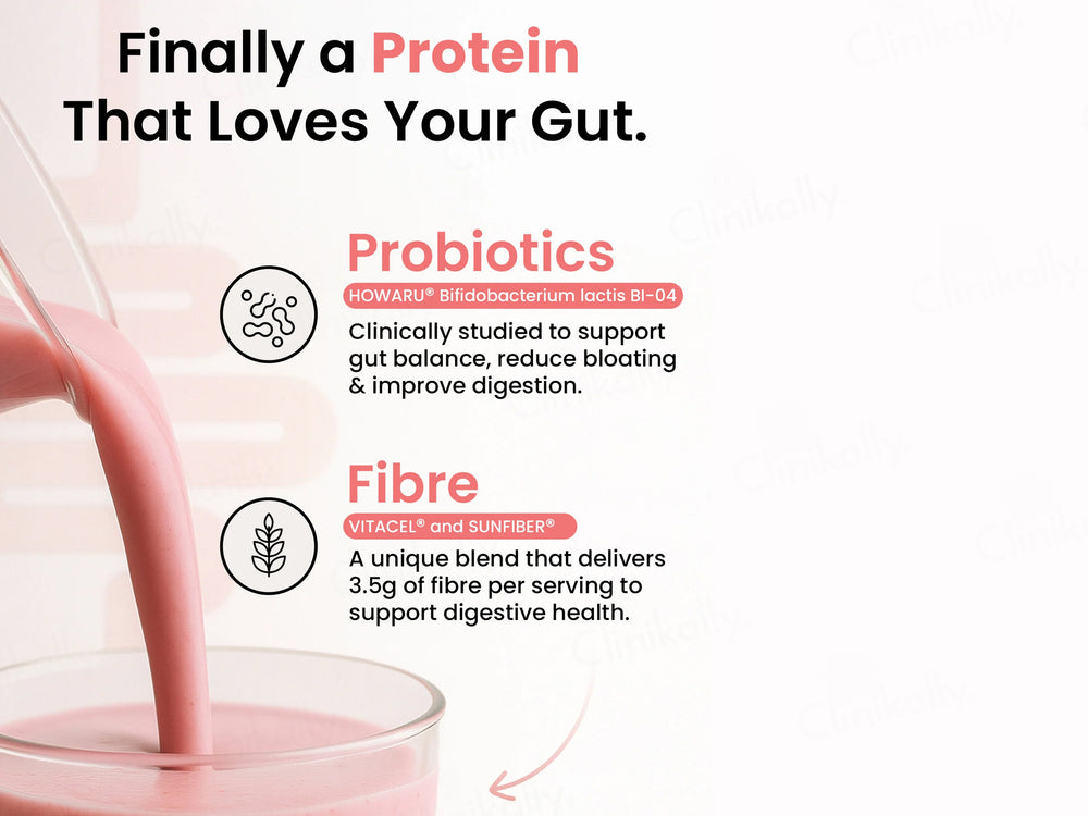 Supply6 Fiber & Probiotics Plant Protein Powder
