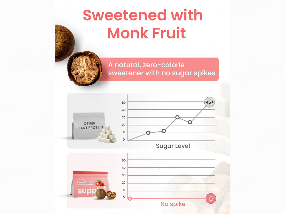 Supply6 Fiber & Probiotics Plant Protein Powder