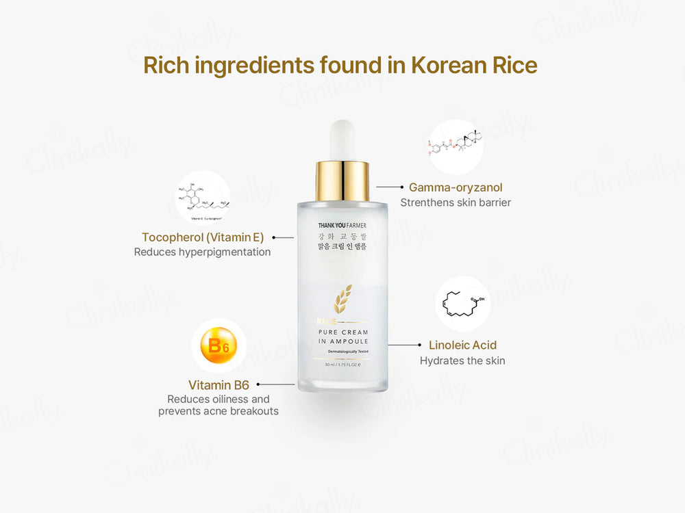 Thank You Farmer Rice Pure Cream In Ampoule