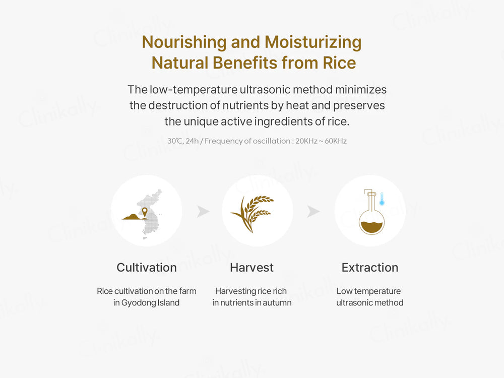 Thank You Farmer Rice Pure Cream In Ampoule
