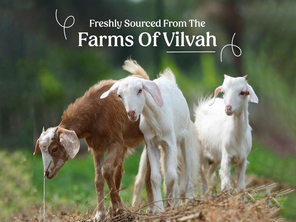 Vilvah Store Goat Milk Shampoo