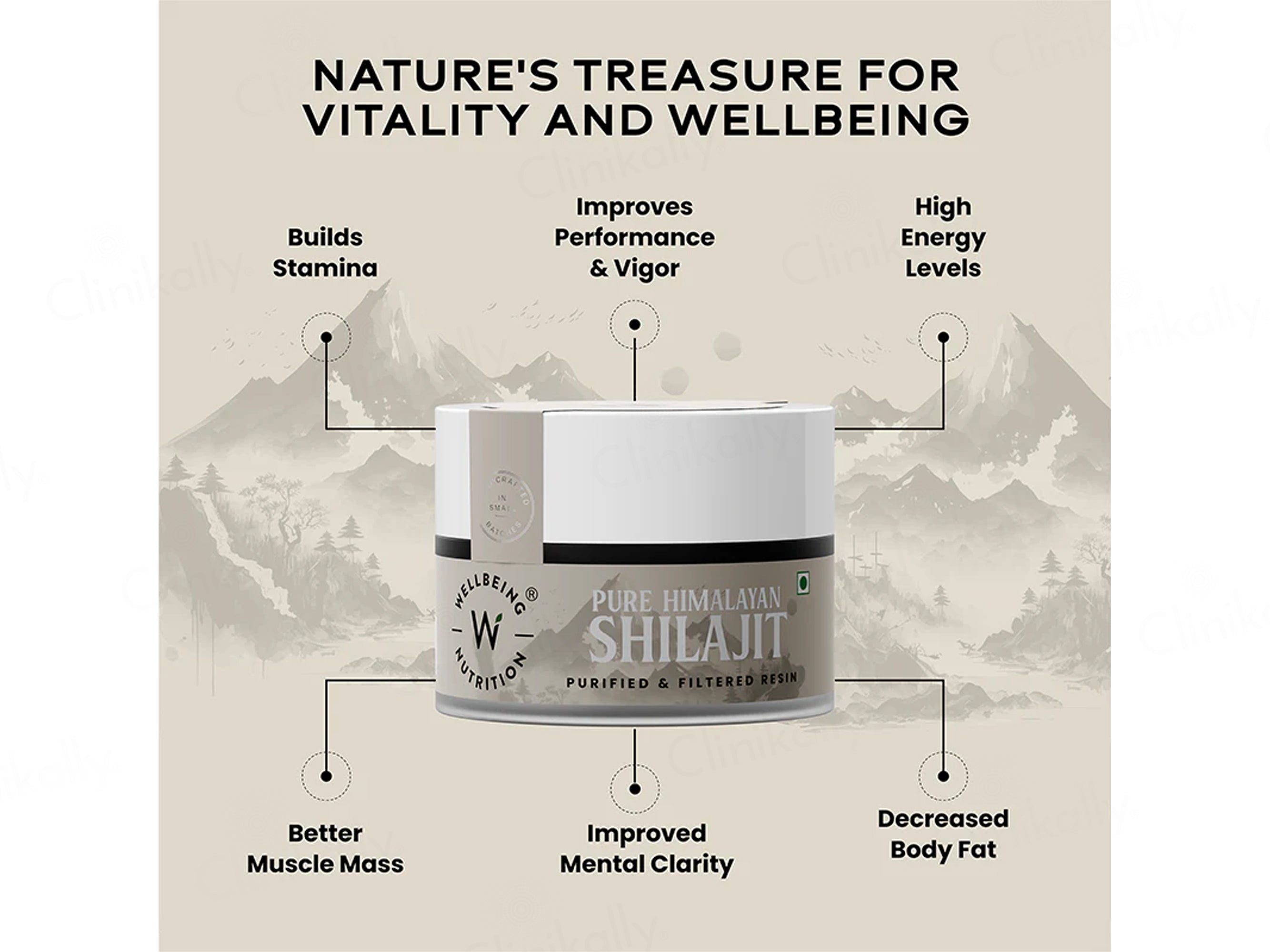Wellbeing Nutrition Pure Himalayan Shilajit Resin