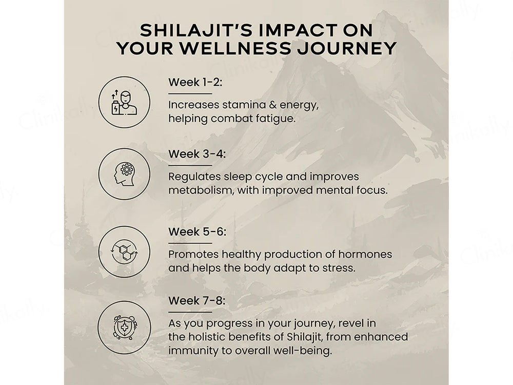 Wellbeing Nutrition Pure Himalayan Shilajit Resin