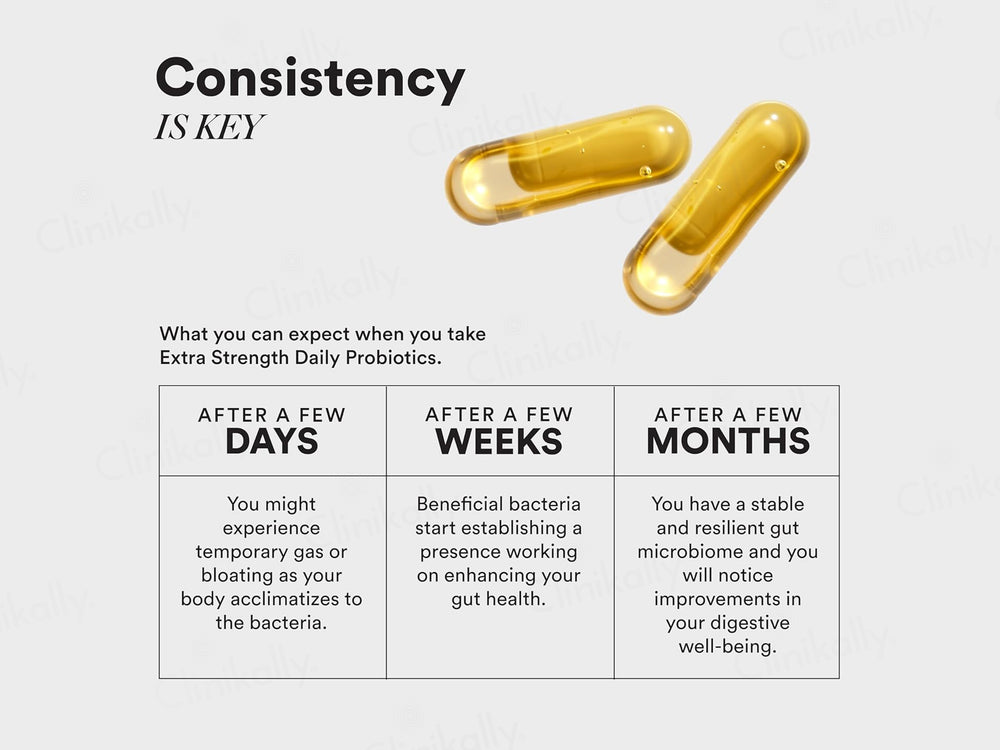 Wellbeing Nutrition Slow Extra Strength Daily Probiotics Capsule