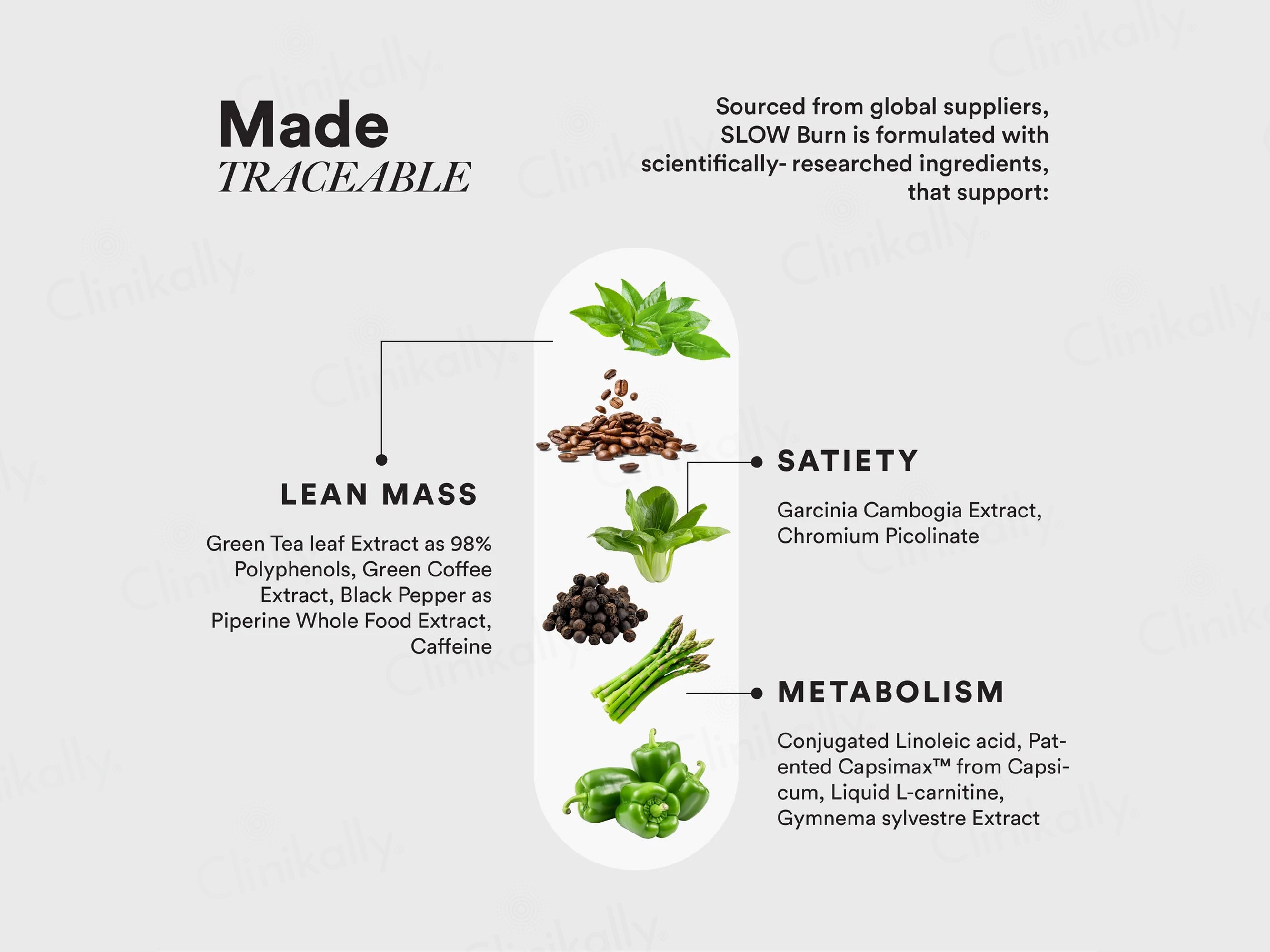 Wellbeing Nutrition Slow Fat Burn Capsule